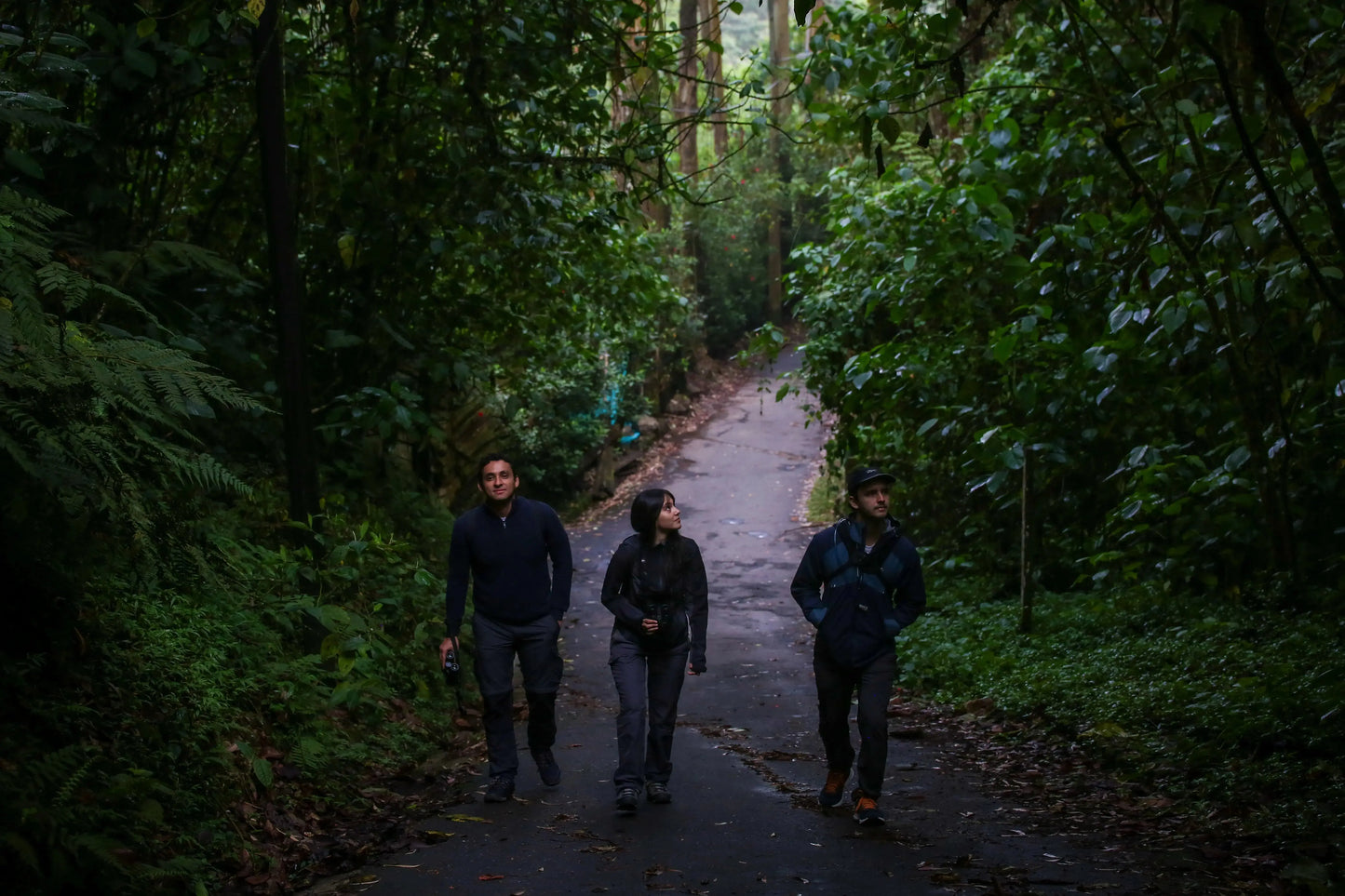 1 Participant (Private Tour) Medellín Birdwatching Half-Day Tour Medellin Real Adventure