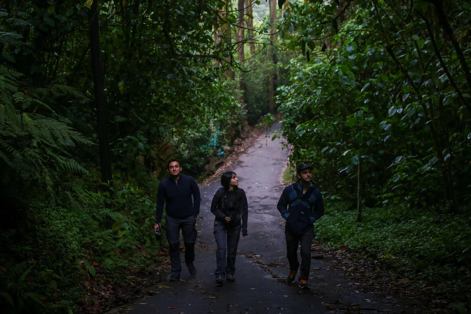 1 Participant (Private Tour) Medellín Birdwatching Half-Day Tour Medellin Real Adventure