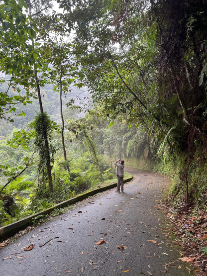 2 Participants (Private Tour) Medellín Birdwatching Half-Day Tour Medellin Real Adventure