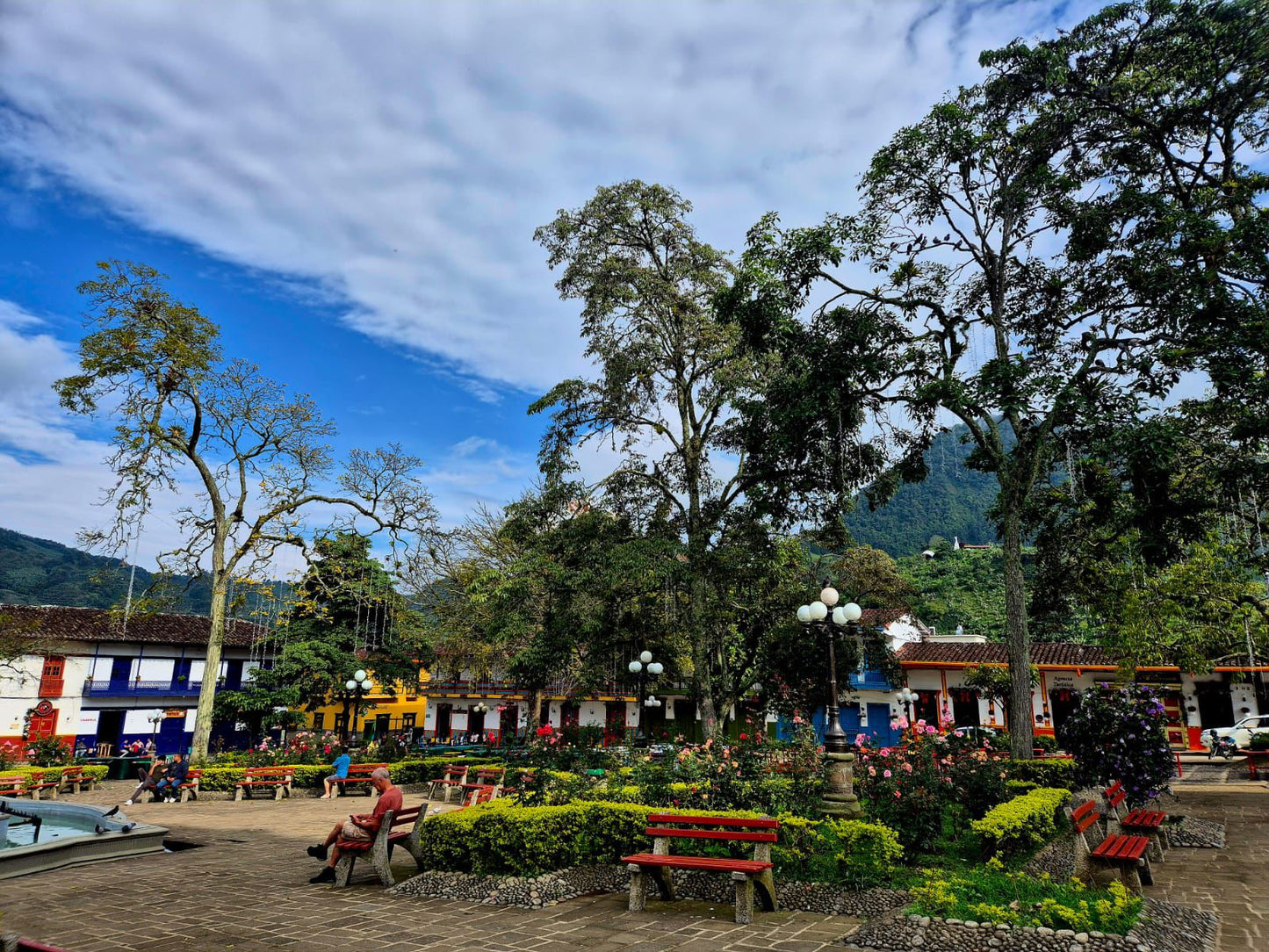 Jardin Birding Day Trip from Medellin (Andean Cock-of-the-Rocks & Oildbird targets)