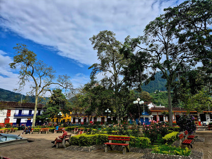 Jardin Birding Day Trip from Medellin (Andean Cock-of-the-Rocks & Oildbird targets)